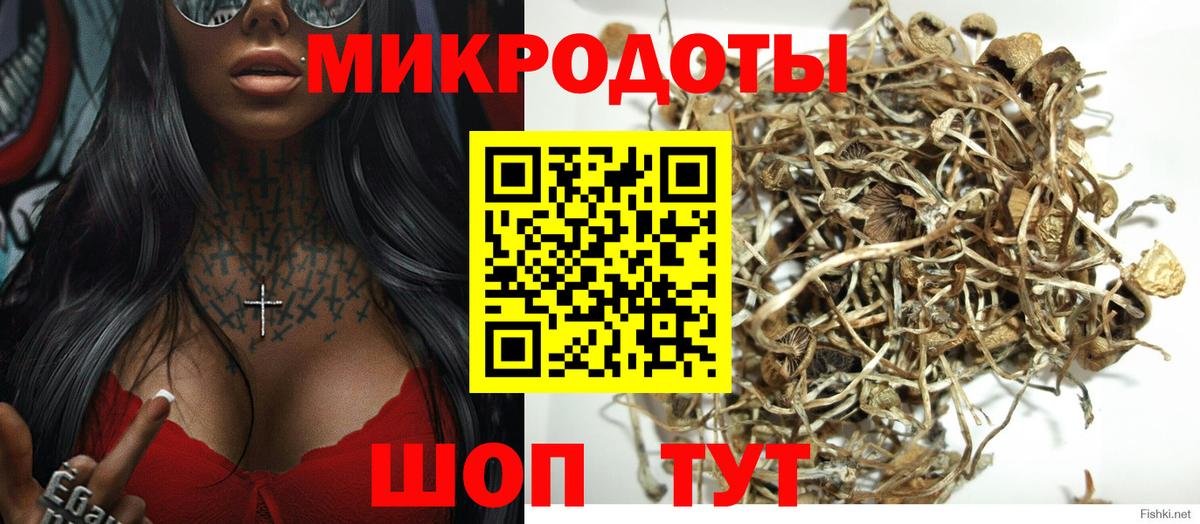 Псилоцибиновые грибы Psilocybe  Вход с VPN  Уссурийск  Галлюциногенные грибы MAGIC MUSHROOMS 