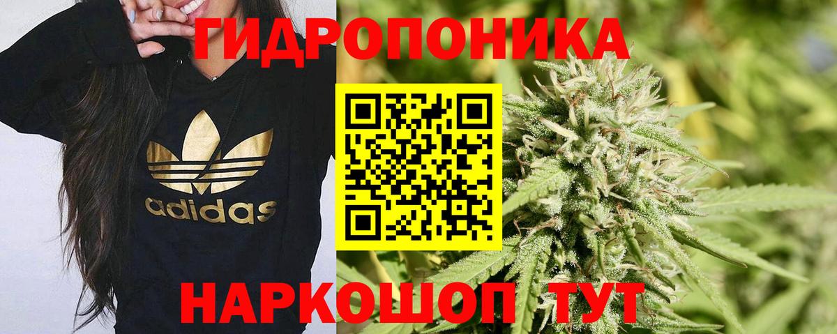 Конопля Bruce Banner Уссурийск